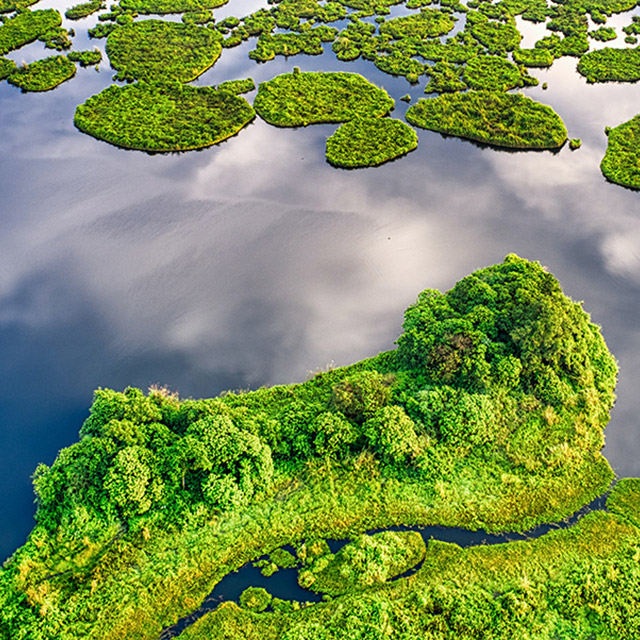 Écologie et protection de l’environnement
